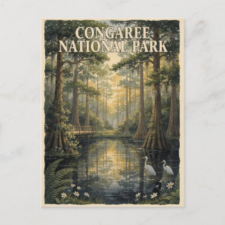 Carte Postale Voyage dans la forêt marécageuse du parc national 