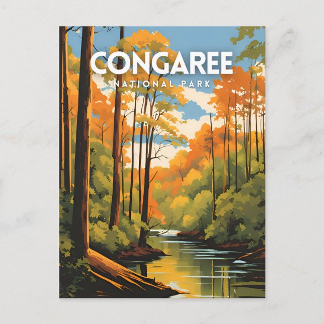Carte Postale Voyage dans le parc national de Congaree (Devant)