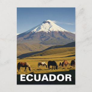 Carte Postale Voyage dans le parc national de Cotopaxi en Équate