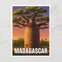 Voyage de l'arbre du baobab à Madagascar