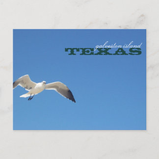 Carte Postale Voyage de mouettes de mer de Galveston Island