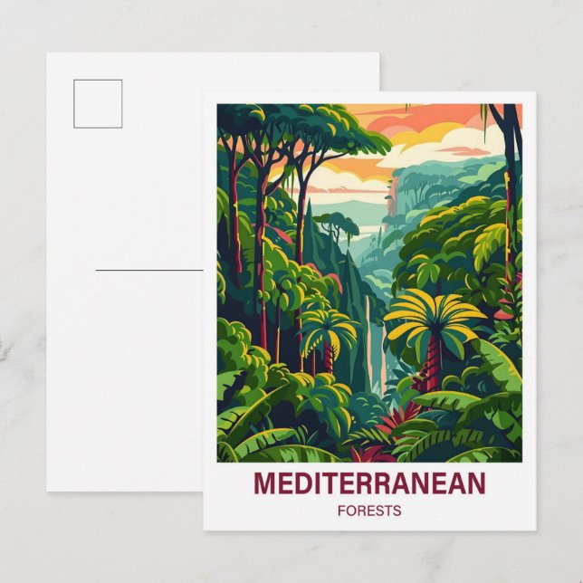Carte Postale Voyage d'illustration de la forêt méditerranéenne (Devant / Derrière)
