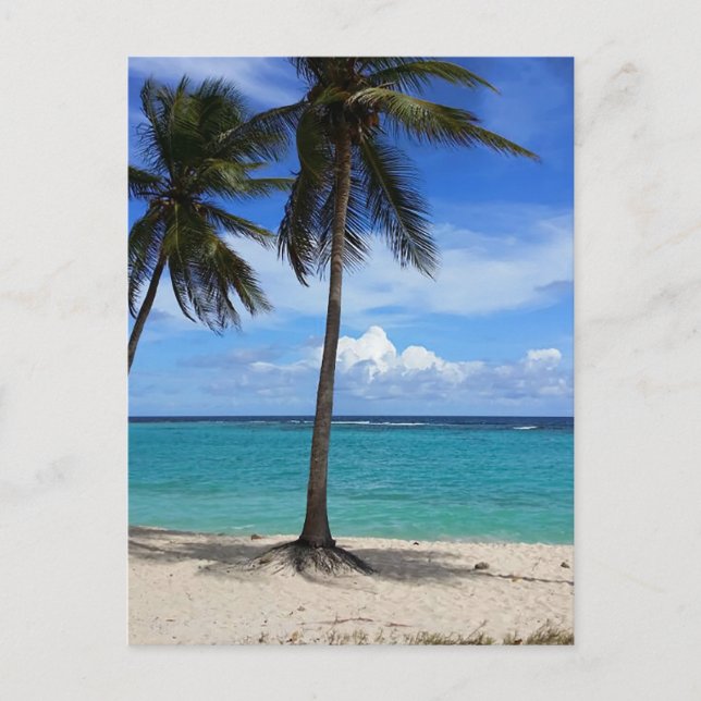 Carte Postale Voyage en famille Plage vacances Guadeloupe Caraïb (Devant)