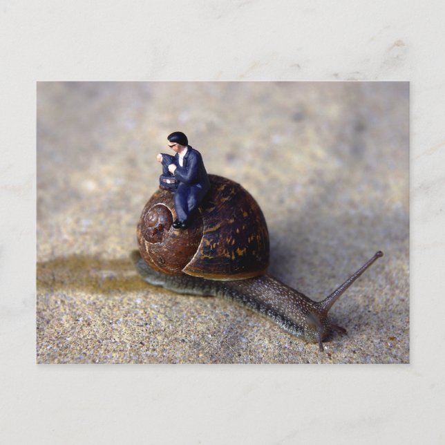 Carte Postale Voyage lent (Devant)