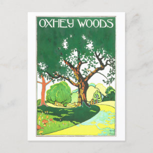 Carte Postale Voyage vintage Oxhey Woods