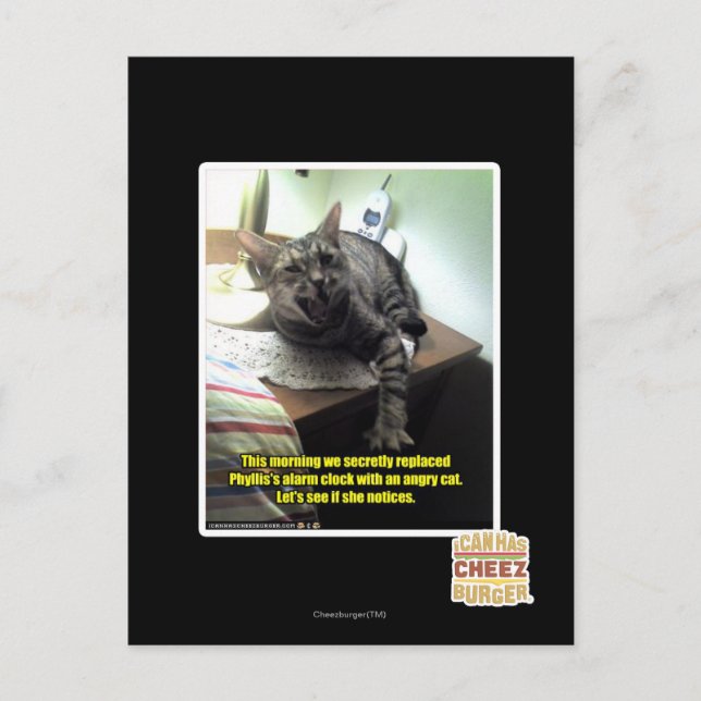 Carte Postale Voyons si elle le remarque. (Devant)