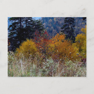 Carte Postale Vraiment Smokie Mountain Automne