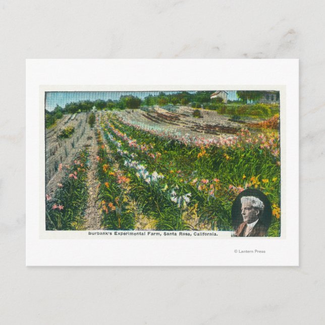 Carte Postale Vue aérienne de Burbanks Ferme expérimentale (Devant)