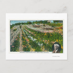 Carte Postale Vue aérienne de Burbanks Ferme expérimentale