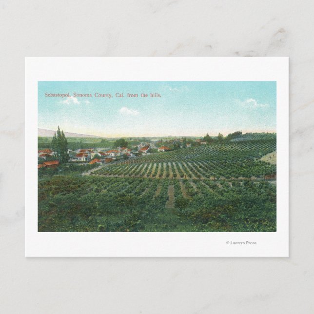 Carte Postale Vue aérienne de la ville, comté de Sonoma depuis l (Devant)