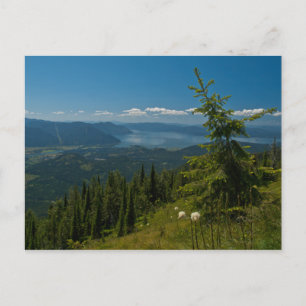 CARTE POSTALE ~ Vue de Clark Fork de Scotchman Pea