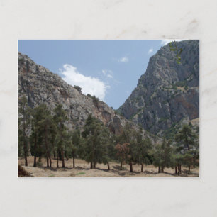 Carte Postale Vue de Delphes, Grèce