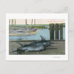 Carte Postale Vue de deux espadons