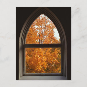 Carte Postale Vue de feuillage d'automne