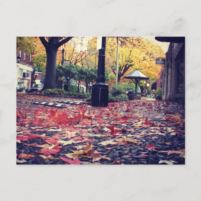 Carte Postale Vue de feuilles d'automne sur le trottoir (Devant)