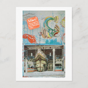 Carte Postale Vue de la grotte aux poissons de Bernstein avec du