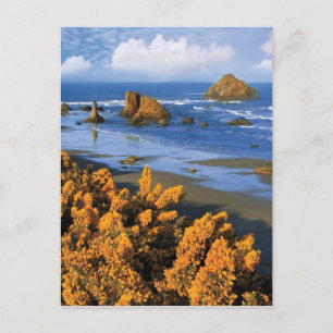 Carte Postale Vue de la plage de l'Oregon à Bandon