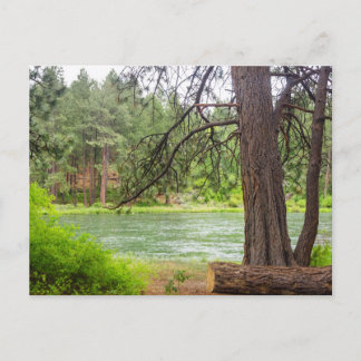 Carte Postale Vue de la rivière Deschutes