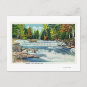 Carte Postale Vue de la rivière Wild Cat et des chutes Jackson