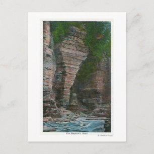 Carte Postale Vue de la tête de l'éléphant