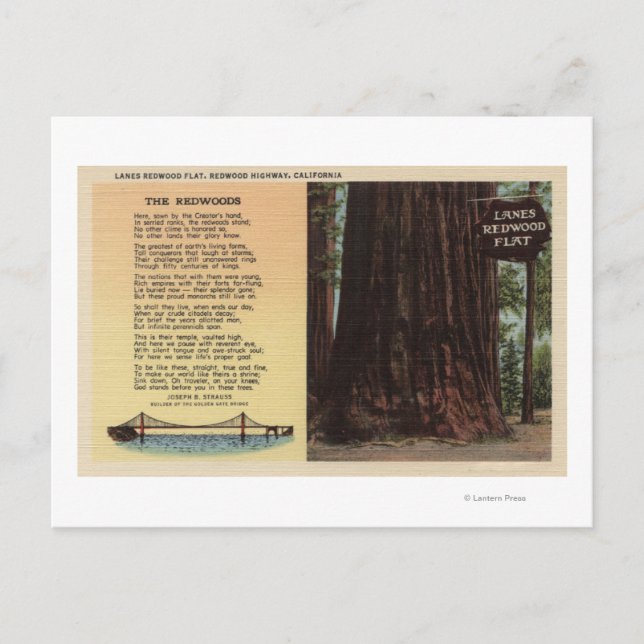 Carte Postale Vue de Lanes Redwood Flat (Devant)
