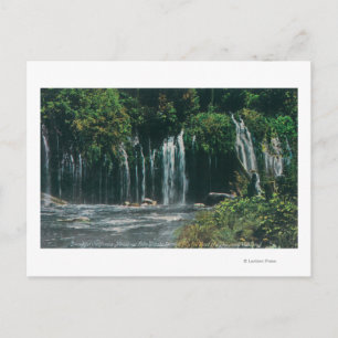 Carte Postale Vue de Mossbrae FallsShasta Springs, CA