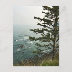 Carte Postale Vue de Simpson Reef Overlook, Côte de l'Oregon