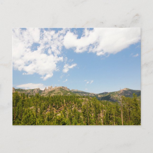 Carte Postale Vue depuis l'autoroute des aiguilles, Dakota du Su (Devant)