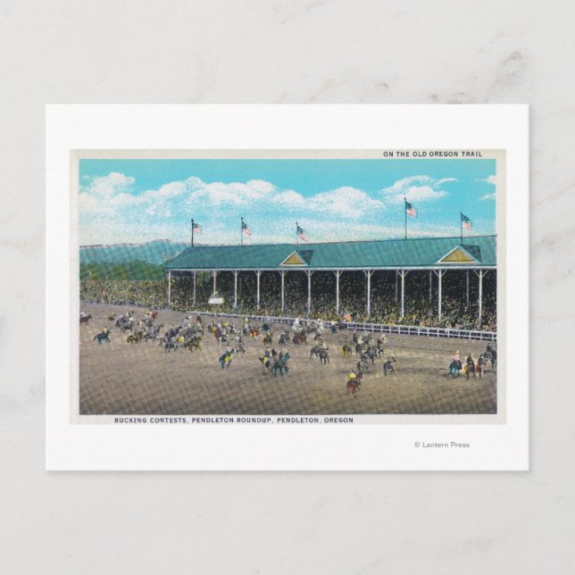 Carte Postale Vue des concours de Bucking (Devant)