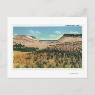 Carte Postale Vue des dunes de sable de Cape Cod 2