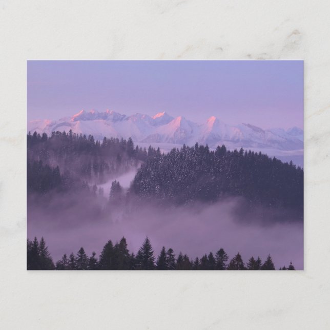 Carte Postale Vue des Tatras d'hiver depuis Pieniny (Devant)