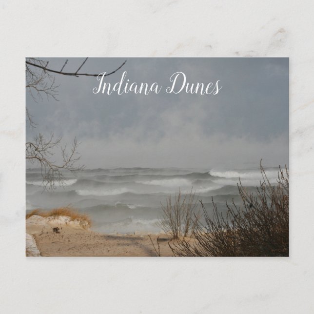 Carte Postale Vue d'hiver, lac Michigan, dunes de l'Indiana (Devant)