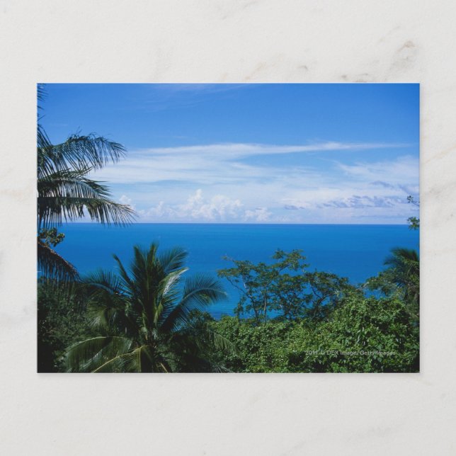 Carte Postale Vue d'océan (Devant)