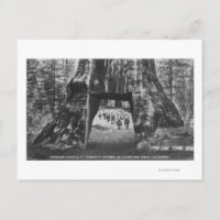 Vue du Cabine Pionnier, Hommes à cheval