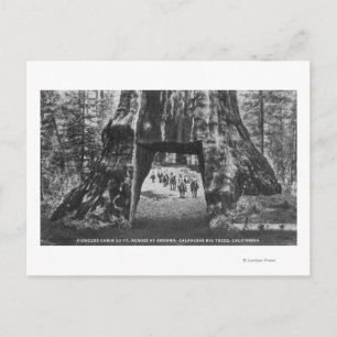 Carte Postale Vue du Cabine Pionnier, Hommes à cheval
