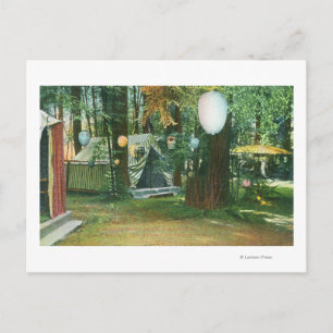 Carte Postale Vue du camp Scotts, RedwoodsRussian River, CA