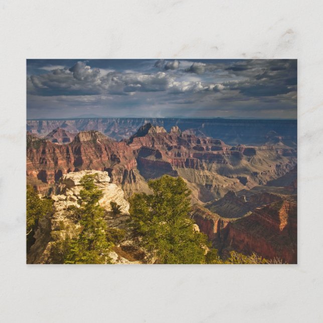 Carte Postale Vue du centre d'accueil North Rim - Grand (Devant)