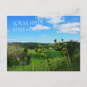 Carte Postale Vue du chemin surplombant, forêt d'État de Loess H