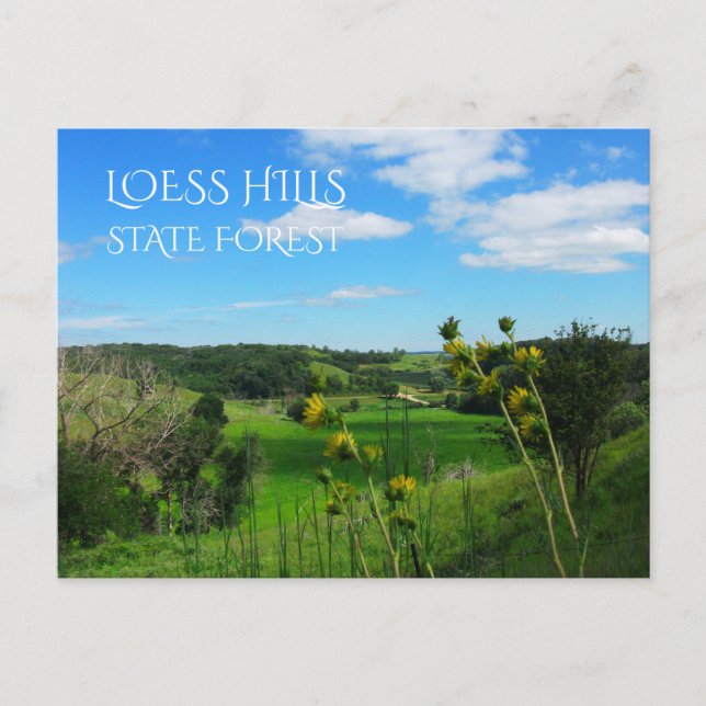Carte Postale Vue du chemin surplombant, forêt d'État de Loess H (Devant)