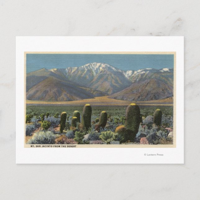Carte Postale Vue du Mont San Jacinto près de Palm Springs (Devant)