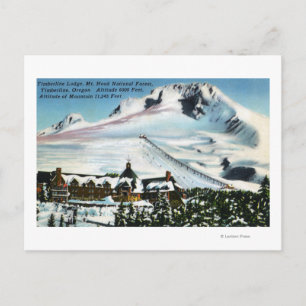 Carte Postale Vue du pavillon Timberline, mont Hood en hiver