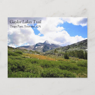 Carte Postale Vue du sentier Gaylor Lakes, col Tioga, CA Postc