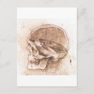 Carte Postale Vue d'un crâne par Léonard de Vinci vers 1489