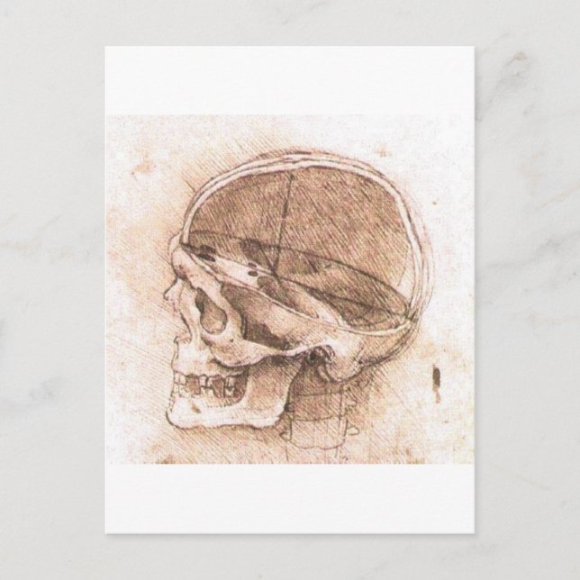 Carte Postale Vue d'un crâne par Léonard de Vinci vers 1489 (Devant)