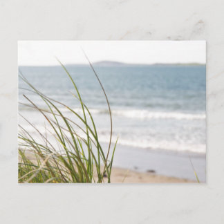 carte postale vue dune sable