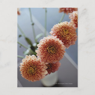 Carte Postale Vue en angle élevé des fleurs dans un vase