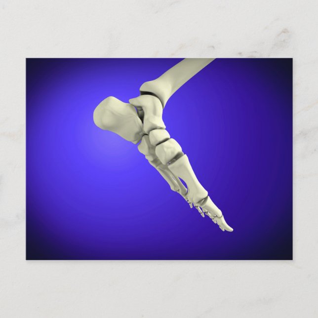 Carte Postale Vue En Rayon X Du Pied Humain 2 (Devant)