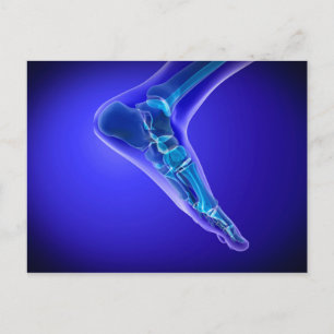 Carte Postale Vue En Rayon X Du Pied Humain 3