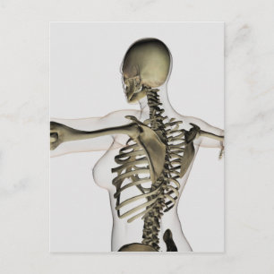 Carte Postale Vue En Trois Dimensions Du Dos Supérieur Féminin