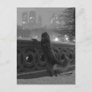 Carte Postale Vue enneigée depuis Bow Bridge-Carte postale de Ce